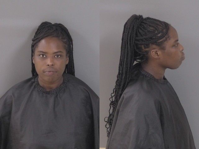 Mugshot of Brianna Nicole Bryant