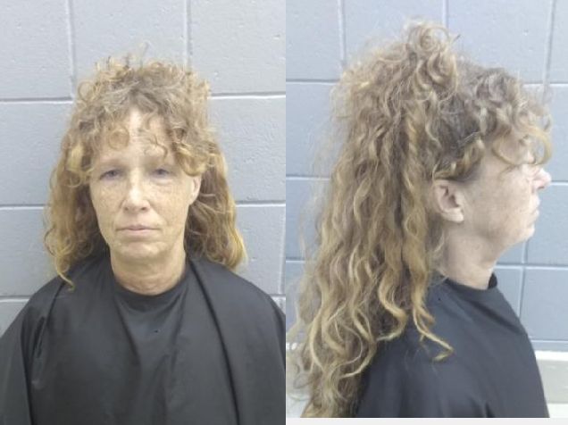 Mugshot of Carrie Ann Takacs