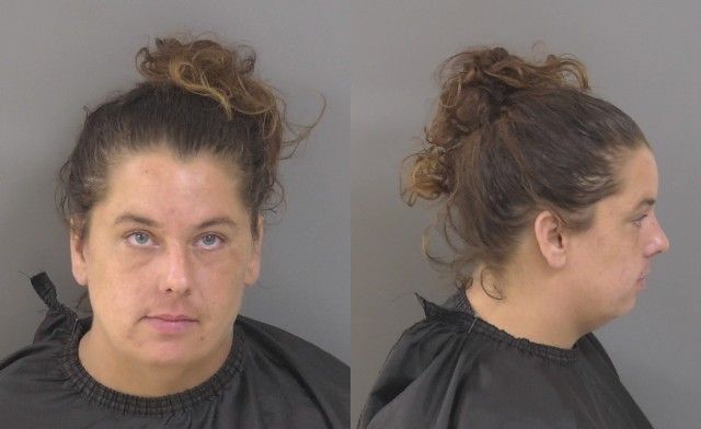 Mugshot of TAMIKA ANN FADDEN