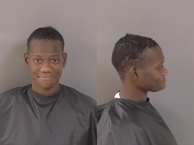 Mugshot of Eugenia Michelle Bryant