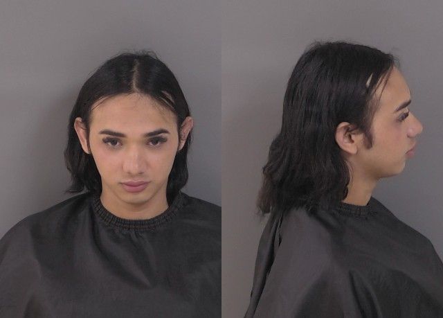 Mugshot of Cristofer Jesus Pinero Chirino