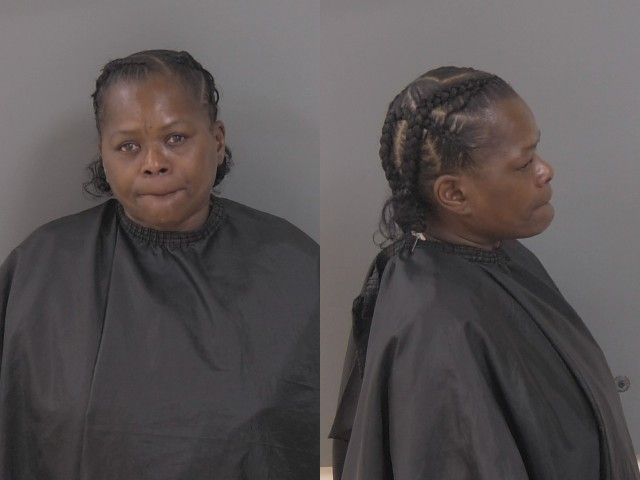 Mugshot of Theresa Lasha Lewis