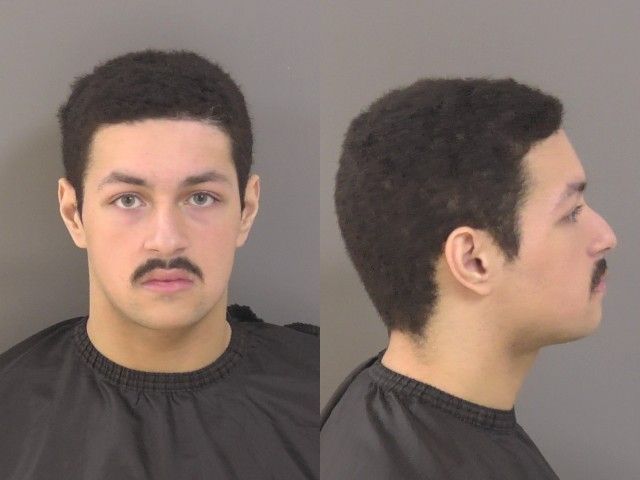 Mugshot of Youssef Walid Taman