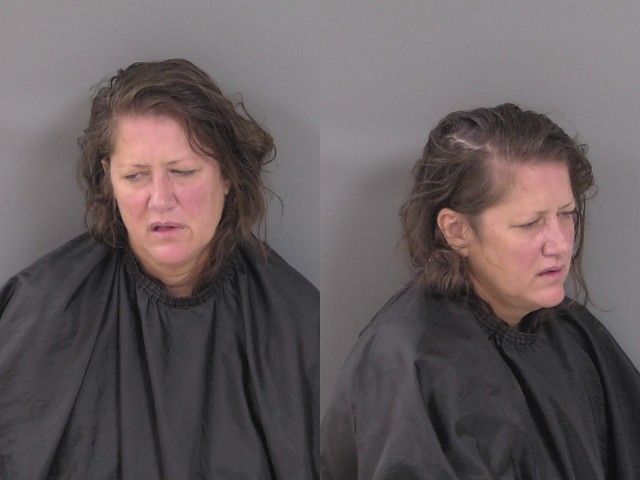 Mugshot of Melissa Dianne Zawistowski