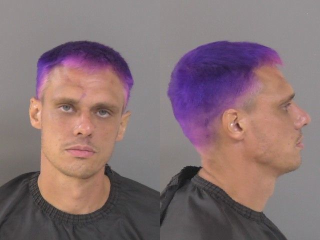 Mugshot of Earl Douglas Wadlington