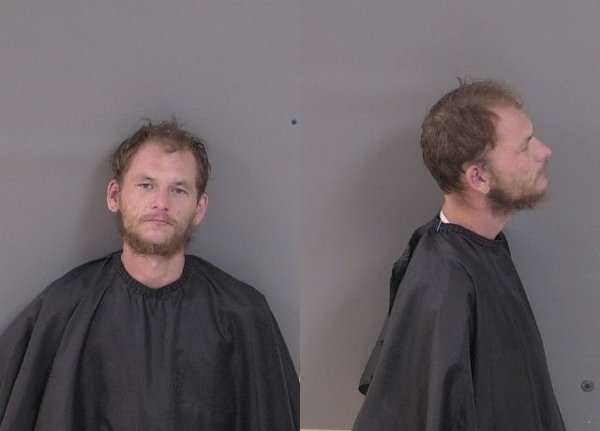 Mugshot of David Alex Mohan