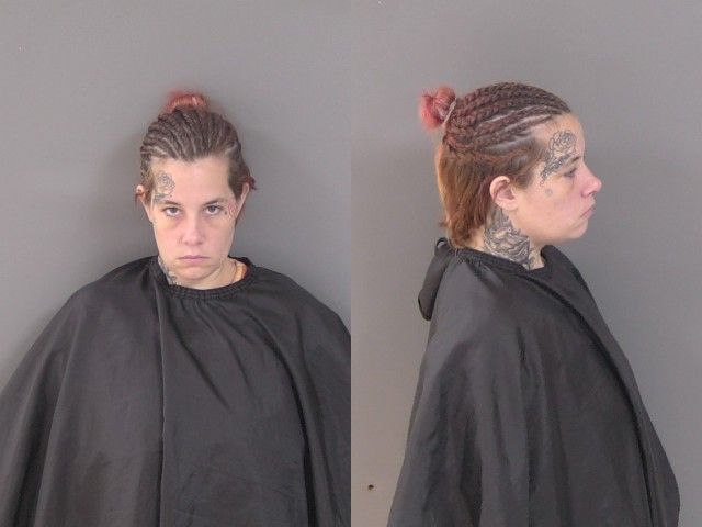 Mugshot of Danielle Kristine Waldron