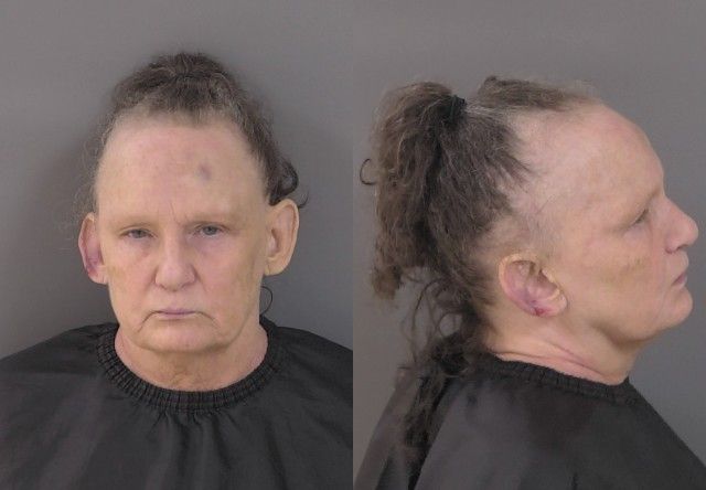 Mugshot of Renee Carol Taig Johnston