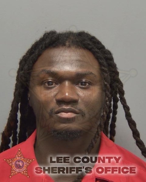 Mugshot of ALLYN WILGUINS LOUIS