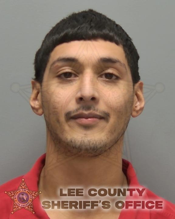 Mugshot of GABRIEL OCHOA SEJA
