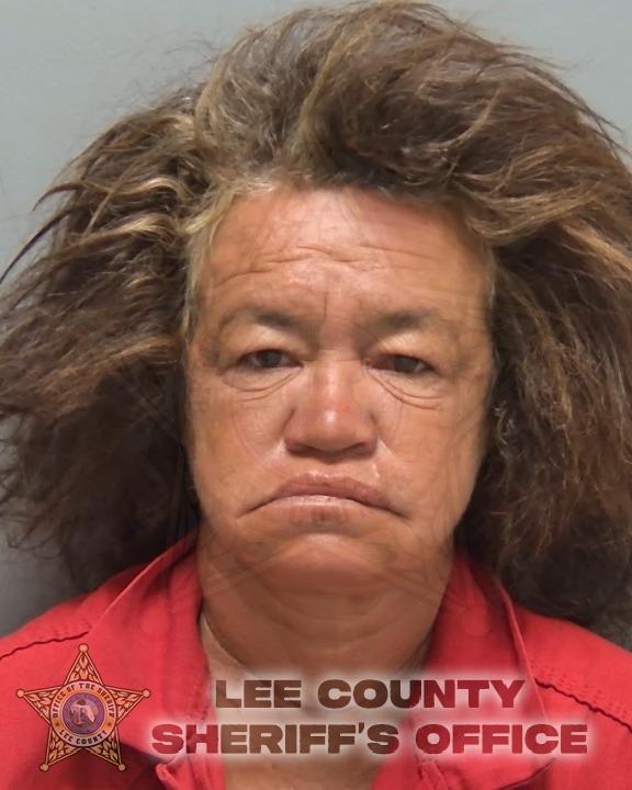 Mugshot of ROSA IVETTE CINTRON FIGUEROA