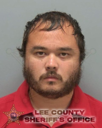 Mugshot of IAN LEE PIPKINS