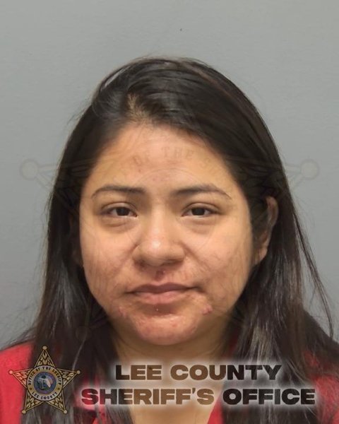 Mugshot of ARELYS MORALES