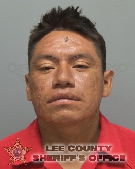 Mugshot of ESTEBAN VARGAS RAMON