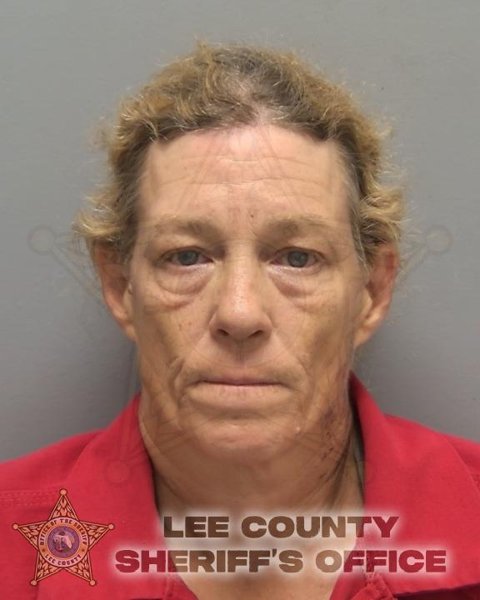 Mugshot of SHERRY LYNNE FITZ