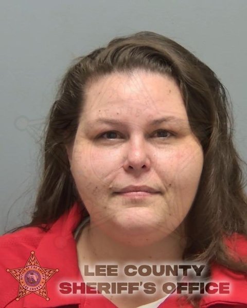 Mugshot of AMEE N HILTON