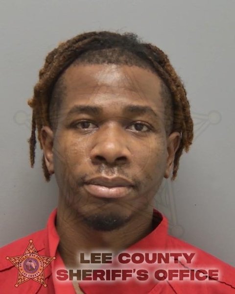 Mugshot of JODANY DELICE
