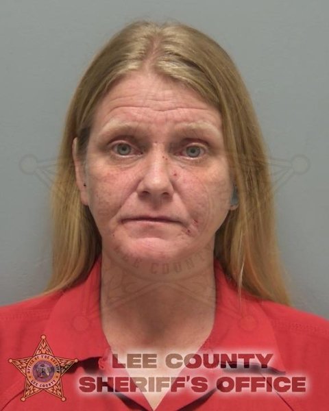 Mugshot of ELIZABETH ANN FINNEGAN