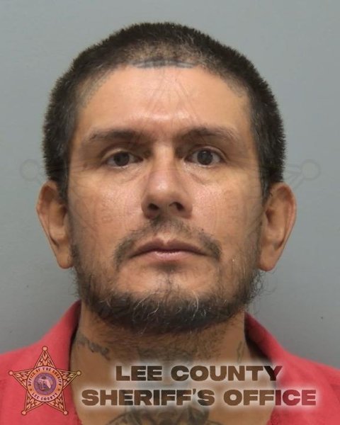 Mugshot of VIDAL DELGADO