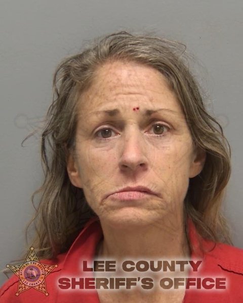 Mugshot of DANNIELLE ANNE ZINDERMAN