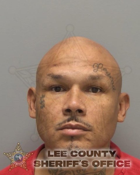 Mugshot of JAMES DEMOUCHETTE