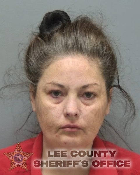 Mugshot of ERICA ANN GEORGE