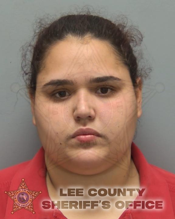 Mugshot of VIDA VALDES OTERO