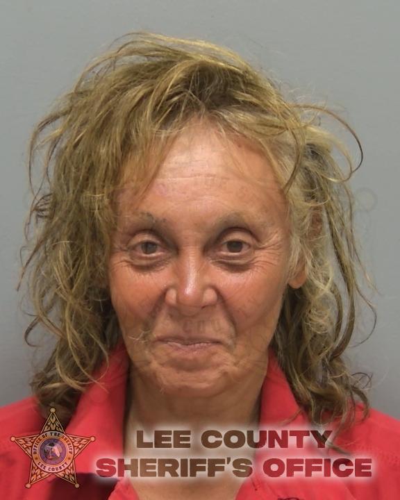 Mugshot of MICHELLE HORTENZA VIDU