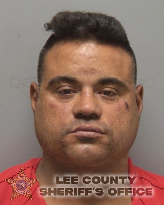 Mugshot of VEITIA DONABEL