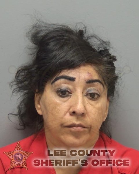 Mugshot of ADA ABIGAIL MATIAS-CASTILLO