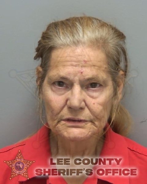 Mugshot of ROBINANN MARION GORDON