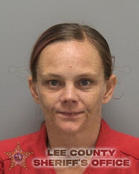 Mugshot of DIANE DELAINE SCHOCKE