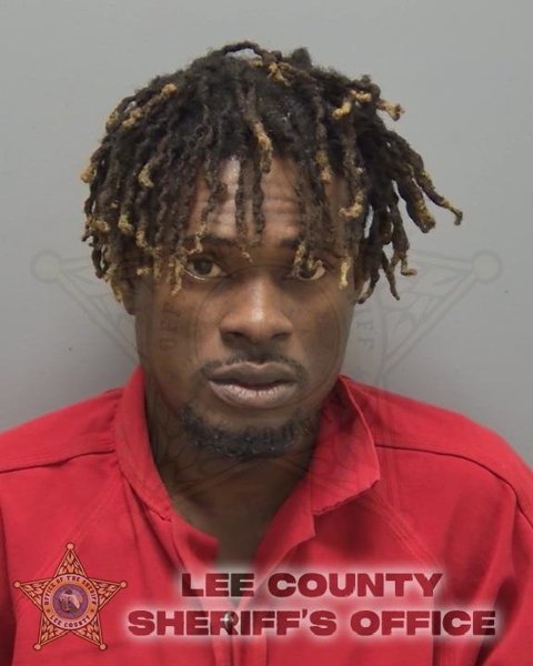 Mugshot of DAVID DUCASSE