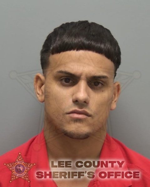Mugshot of JEAN MICHEL ANDINO RIVERO