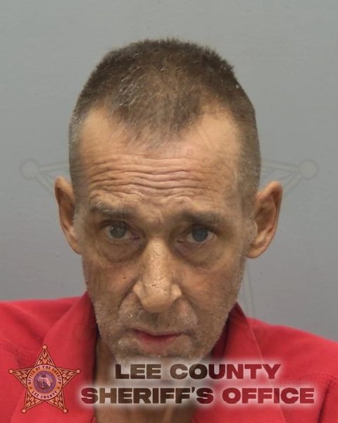 Mugshot of BRANDON JAY MCELROY