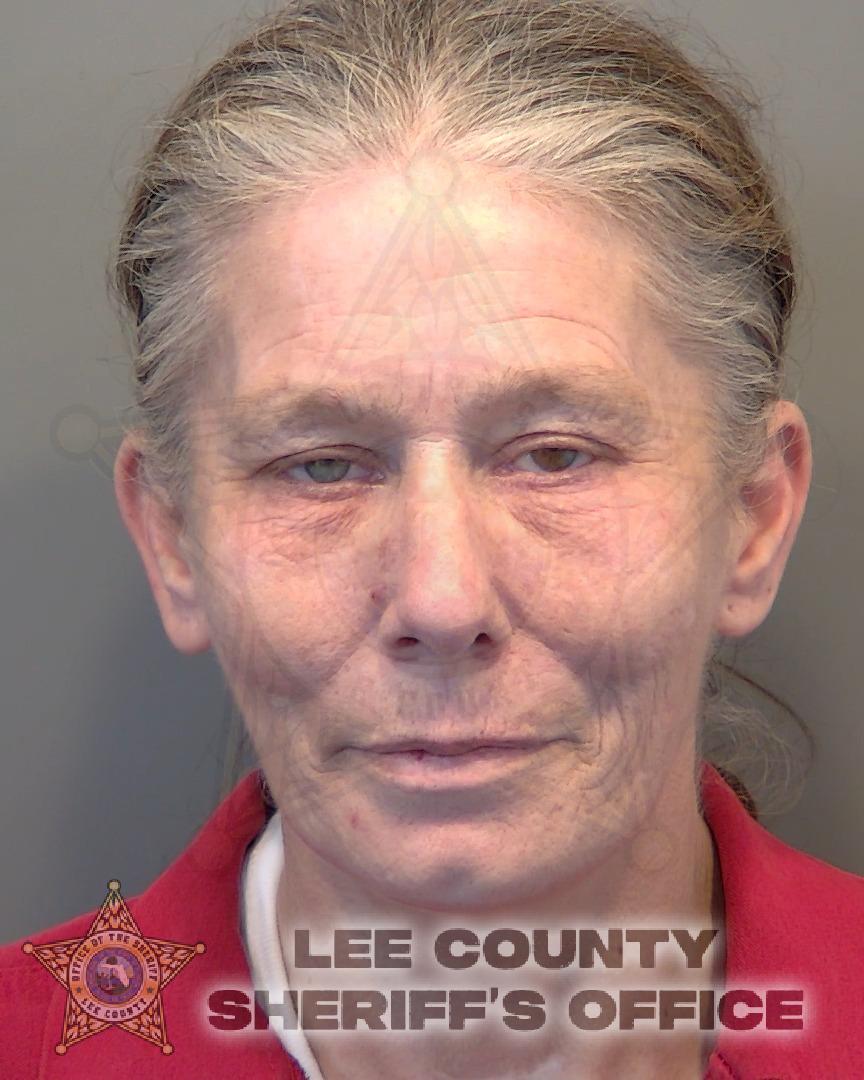 Mugshot of MICHELLE ANNE DEARING