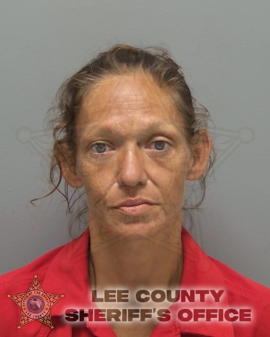 Mugshot of JOHNNIE LEE SAUNDERS