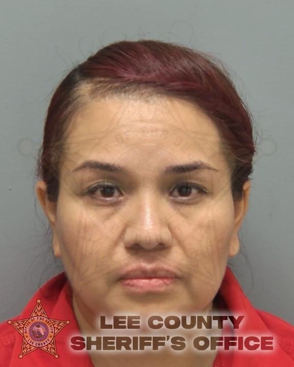 Mugshot of ERANDI SANCHEZ SEGURA