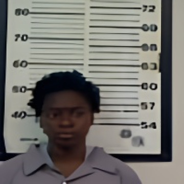 Mugshot of NY'KERRIA JANESIA GALLON