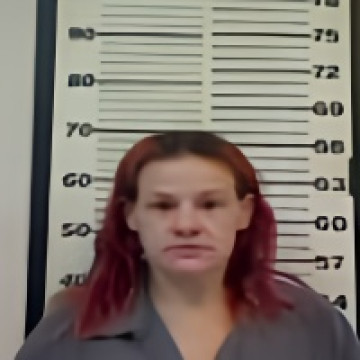 Mugshot of TORI LEIGH MENDHEIM
