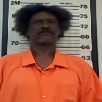 Mugshot of LUTHER B BRINSON