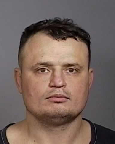 Mugshot of MARK I DUBOVOY