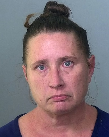 Mugshot of BRANDI R HUTCHINSON