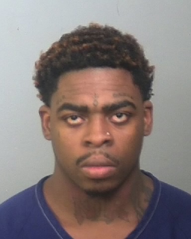 Mugshot of SYLVESTER L SANDERS