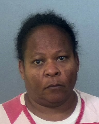 Mugshot of NICOLE L WILLIAMS
