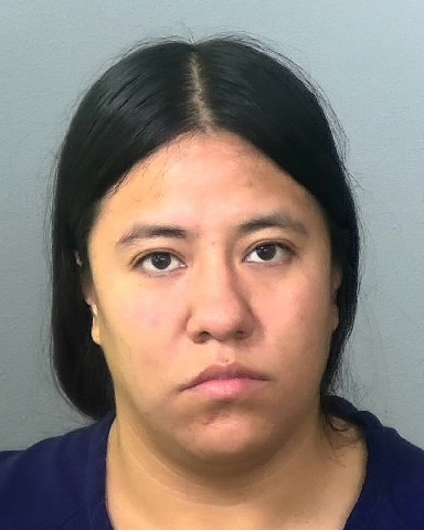 Mugshot of REYNA L CHAVEZ-GONZALEZ