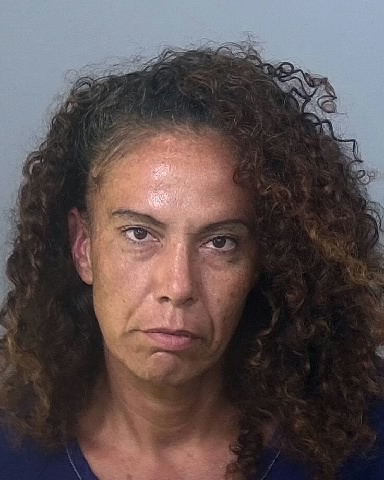 Mugshot of DANIELLE I GUERRERO