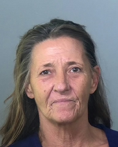 Mugshot of ELLEN M MYERS