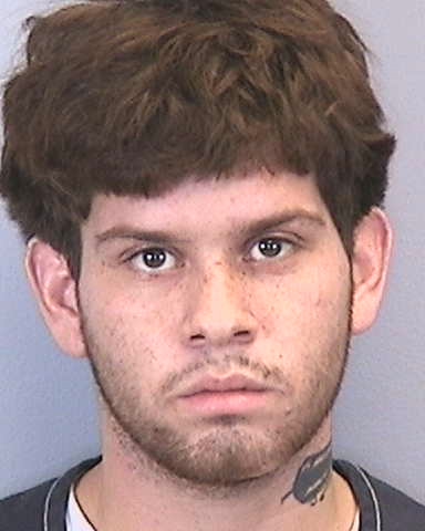 Mugshot of EDGARDO L RIVERA-PACHECO