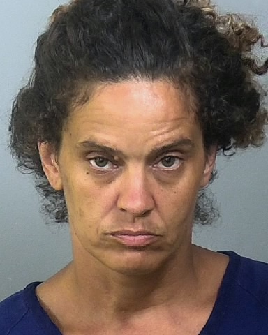 Mugshot of JESSICA N WASHINGTON